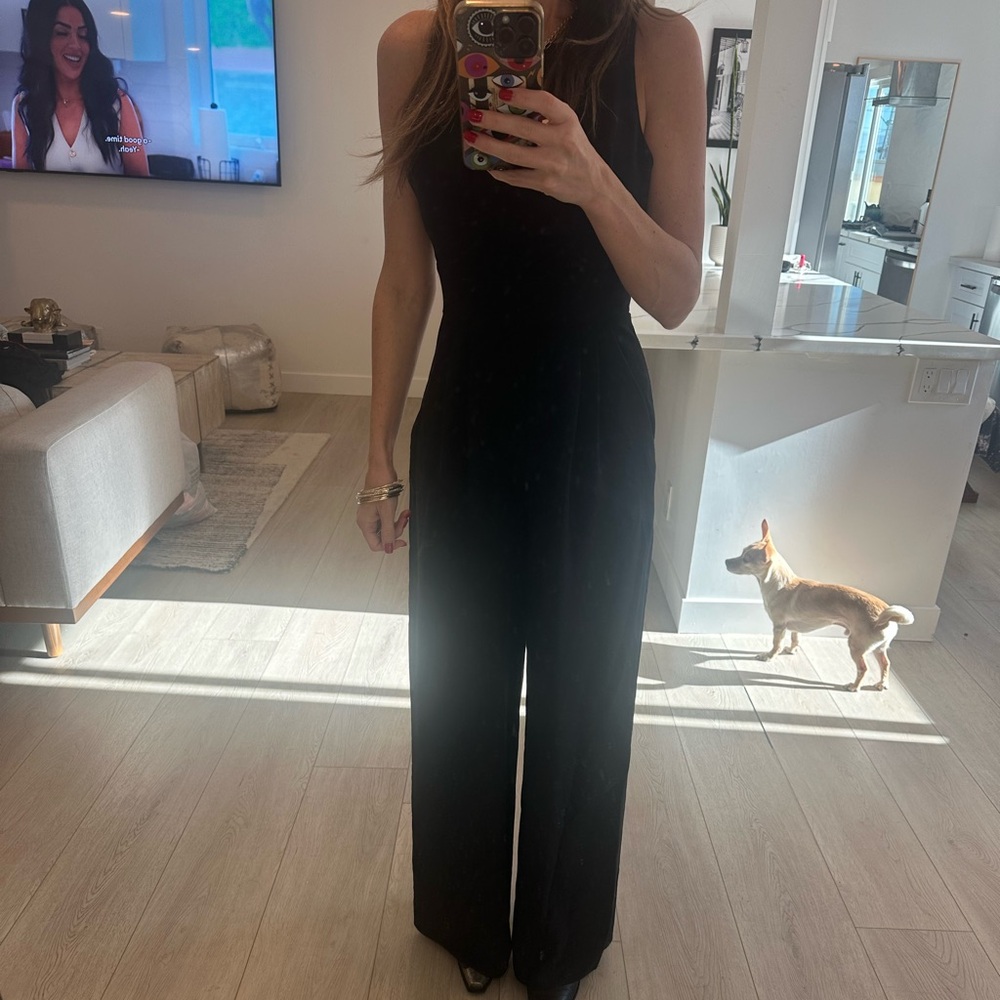 Sleek Black Sleeveless jumpsuit. High neck, cinched waist, trouser pant.